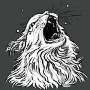 Meet your Posher, Ariel